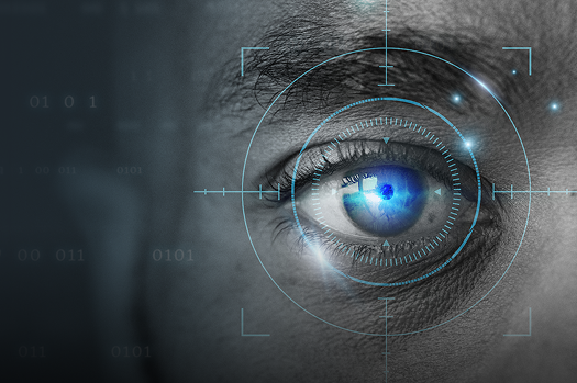 Biyometrik Kimlik Doğrulama